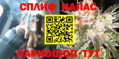 ECSTASY Кингисепп
